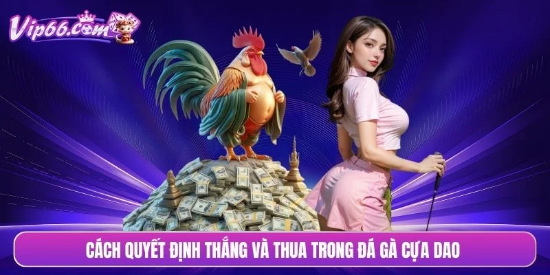 Cách quyết định thắng và thua trong đá gà cựa dao